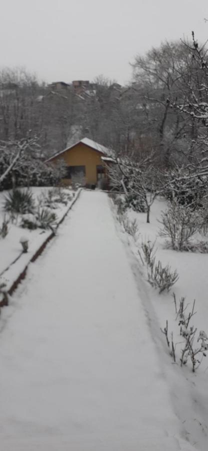 Pensiunea Lucia Ana Cluj-Napoca Exteriör bild